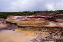 ROYAL NATIONAL PARK, ПРОГУЛКА 10 КМ ОТ BANDEENA ДО WATTAMOLLA