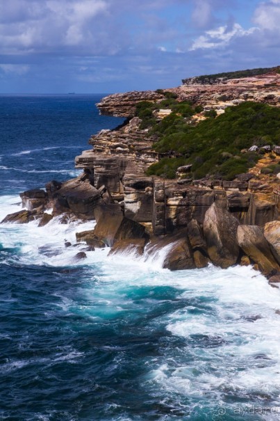 ROYAL NATIONAL PARK, ПРОГУЛКА 10 КМ ОТ BANDEENA ДО WATTAMOLLA