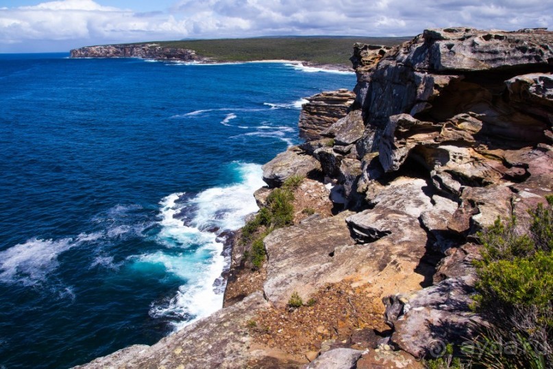 ROYAL NATIONAL PARK, ПРОГУЛКА 10 КМ ОТ BANDEENA ДО WATTAMOLLA