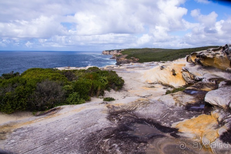 ROYAL NATIONAL PARK, ПРОГУЛКА 10 КМ ОТ BANDEENA ДО WATTAMOLLA