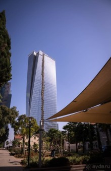 САРОНА В ТЕЛЬ АВИВЕ