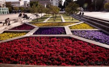 САРОНА В ТЕЛЬ АВИВЕ