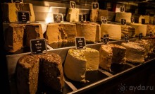 САРОНА В ТЕЛЬ АВИВЕ