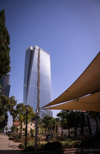 САРОНА В ТЕЛЬ АВИВЕ