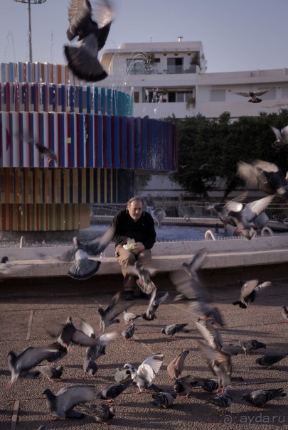 САРОНА В ТЕЛЬ АВИВЕ