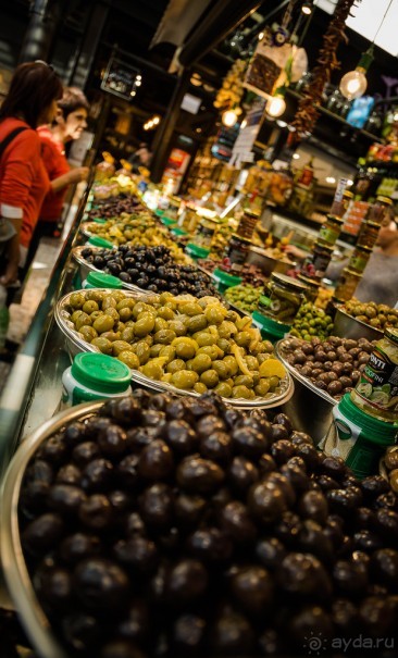 САРОНА В ТЕЛЬ АВИВЕ