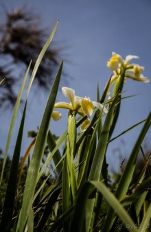 Альбом отзыва "EASTBOURNE (ИСТБОРН)"