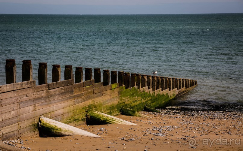 Альбом отзыва "EASTBOURNE (ИСТБОРН)"
