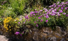 Альбом отзыва "EASTBOURNE (ИСТБОРН)"