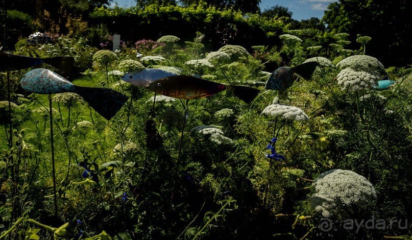 DODDINGTON HALL GARDENS, LINCOLNSHIRE