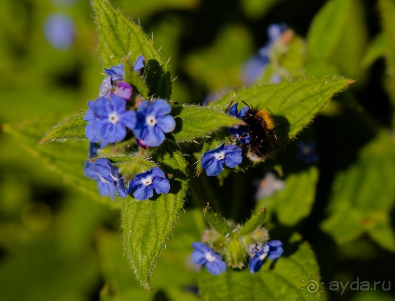 WEEKEND: QUEENS PARK В СУББОТУ. ГОРШКИ И ПЛОШКИ НА РЫНКЕ КЕРАМИКИ