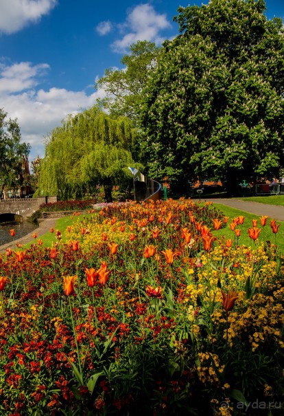 WEEKEND: QUEENS PARK В СУББОТУ. ГОРШКИ И ПЛОШКИ НА РЫНКЕ КЕРАМИКИ