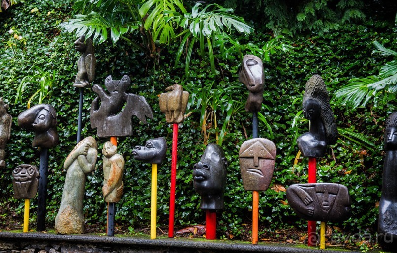 В БОТАНИЧЕСКИХ САДАХ ФУНЧАЛА НА МАДЕЙРЕ