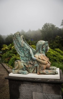 В БОТАНИЧЕСКИХ САДАХ ФУНЧАЛА НА МАДЕЙРЕ