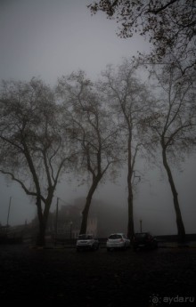 В БОТАНИЧЕСКИХ САДАХ ФУНЧАЛА НА МАДЕЙРЕ