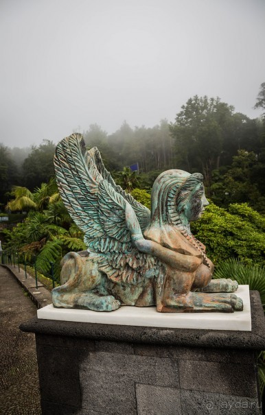 В БОТАНИЧЕСКИХ САДАХ ФУНЧАЛА НА МАДЕЙРЕ