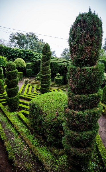 В БОТАНИЧЕСКИХ САДАХ ФУНЧАЛА НА МАДЕЙРЕ