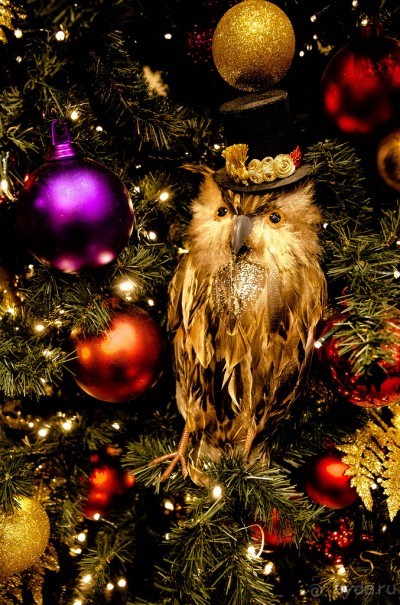 ЛОНДОН - ДЕСЯТЬ ДНЕЙ ДО РОЖДЕСТВА 2015 ГОДА. CANTERBURY В НАЧАЛЕ ДЕКАБРЯ