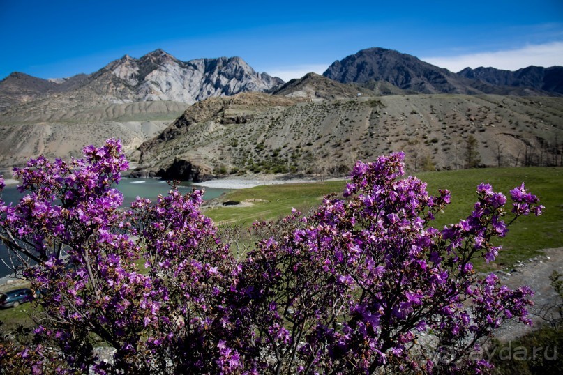 ВОСПОМИНАНИЯ ОБ АЛТАЕ : КЫЗЫЛ ЧИН И ЗАКАТ В КУРАЙСКОЙ ДОЛИНЕ. КАТУНЬ