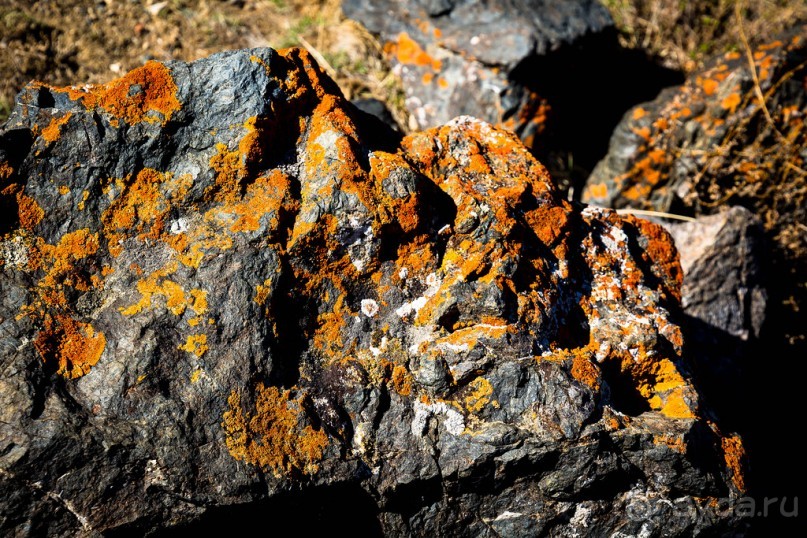 ВОСПОМИНАНИЯ ОБ АЛТАЕ : КЫЗЫЛ ЧИН И ЗАКАТ В КУРАЙСКОЙ ДОЛИНЕ. КАТУНЬ