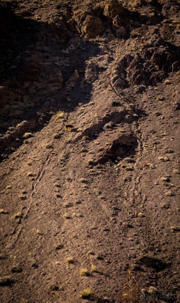 ВОСПОМИНАНИЯ ОБ АЛТАЕ : КЫЗЫЛ ЧИН И ЗАКАТ В КУРАЙСКОЙ ДОЛИНЕ. КАТУНЬ