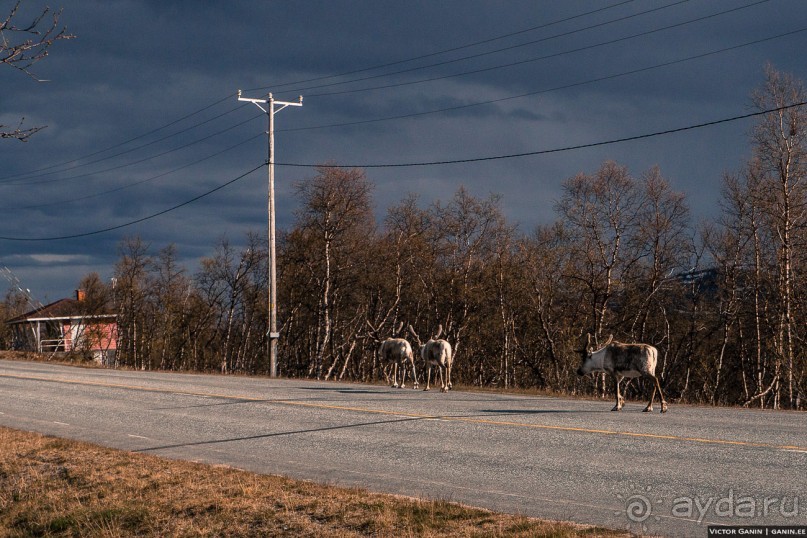 Автостопом на край света: часть 1. Лапландия
