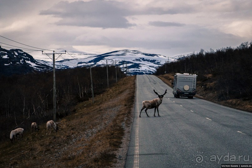 Автостопом на край света: часть 1. Лапландия