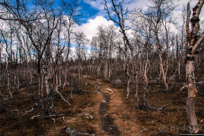 Автостопом на край света: часть 1. Лапландия