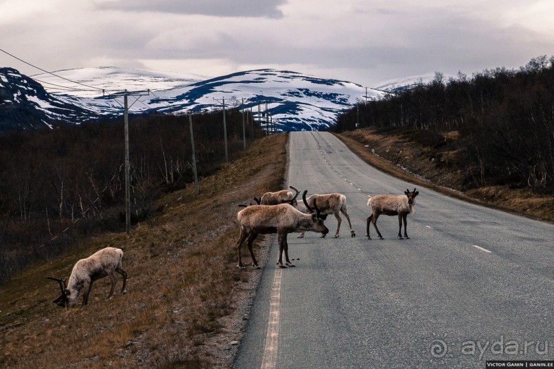 Автостопом на край света: часть 1. Лапландия