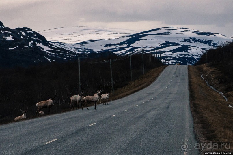 Автостопом на край света: часть 1. Лапландия