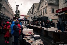 Автостопом через всю Норвегию: селёдочный Хаугесунд