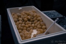 Автостопом через всю Норвегию: селёдочный Хаугесунд