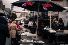 Автостопом через всю Норвегию: селёдочный Хаугесунд