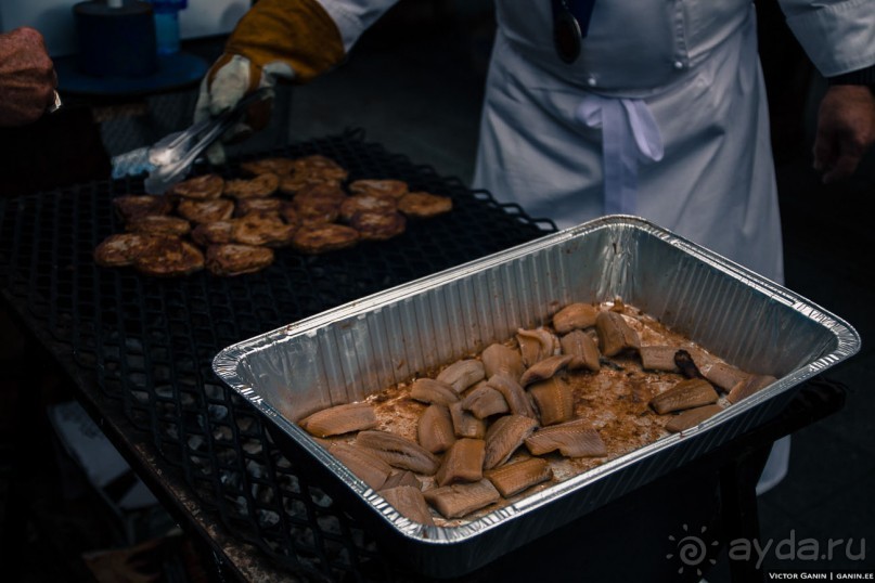 Автостопом через всю Норвегию: селёдочный Хаугесунд
