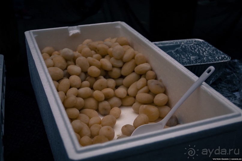 Автостопом через всю Норвегию: селёдочный Хаугесунд