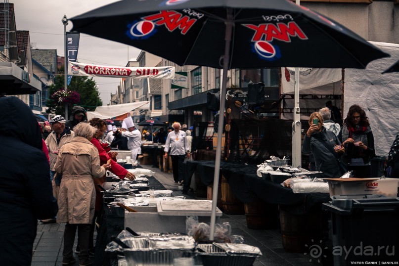 Автостопом через всю Норвегию: селёдочный Хаугесунд