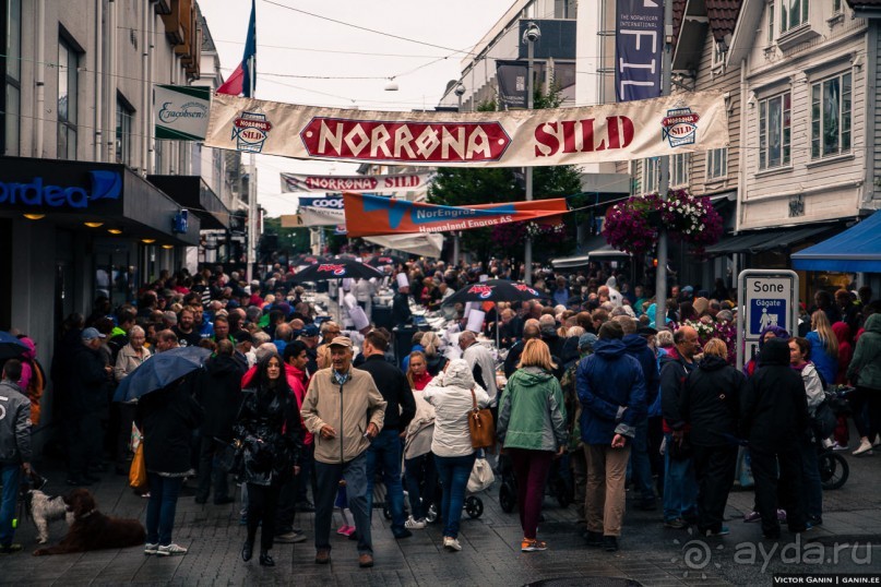 Автостопом через всю Норвегию: селёдочный Хаугесунд