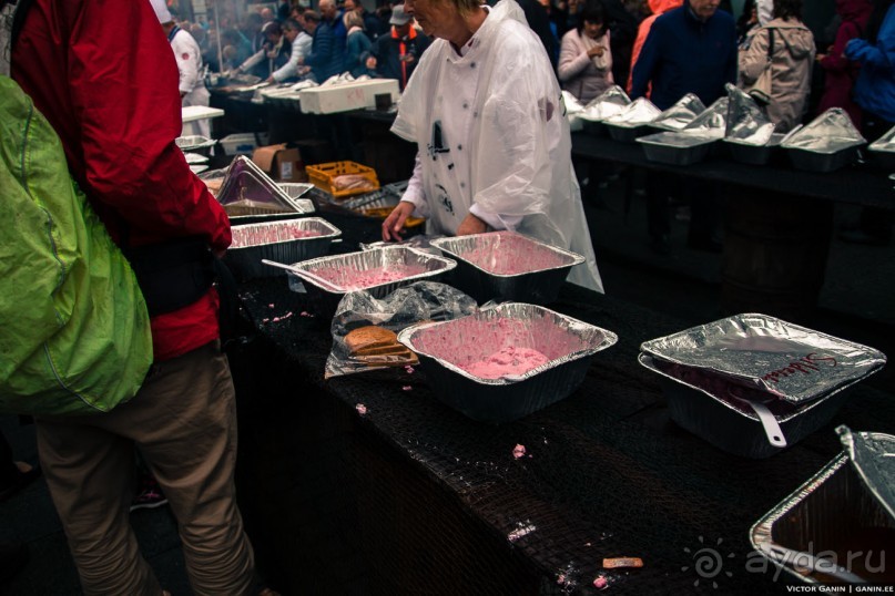 Автостопом через всю Норвегию: селёдочный Хаугесунд