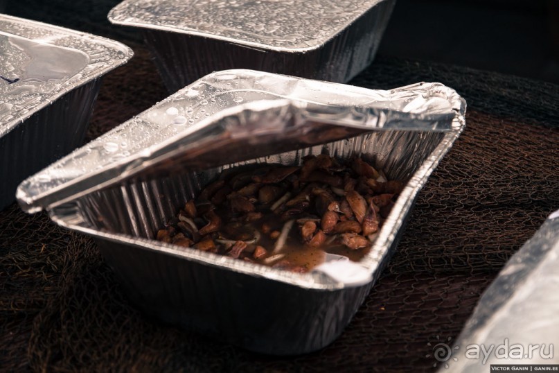 Автостопом через всю Норвегию: селёдочный Хаугесунд