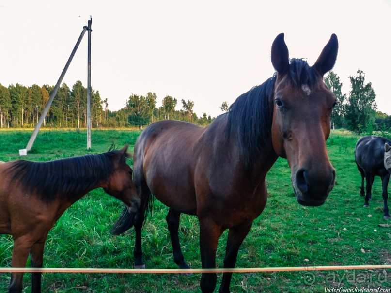 Пешком через всю Эстонию. Походная тропа Оанду – Икла. Часть 2.