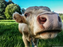 Пешком через всю Эстонию. Походная тропа Оанду – Икла. Часть 2.