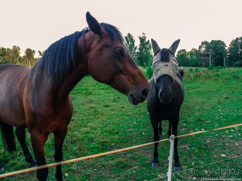 Пешком через всю Эстонию. Походная тропа Оанду – Икла. Часть 2.