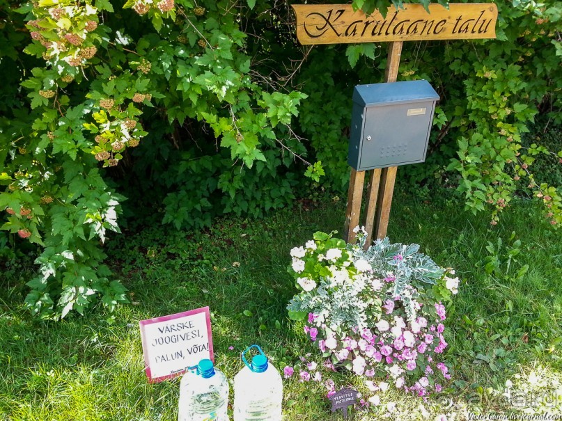 Пешком через всю Эстонию. Походная тропа Оанду – Икла. Часть 2.