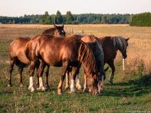 Пешком через всю Эстонию. Походная тропа Оанду – Икла. Часть 2.