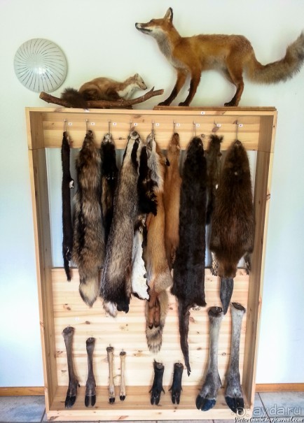 Пешком через всю Эстонию. Походная тропа Оанду – Икла. Часть 2.