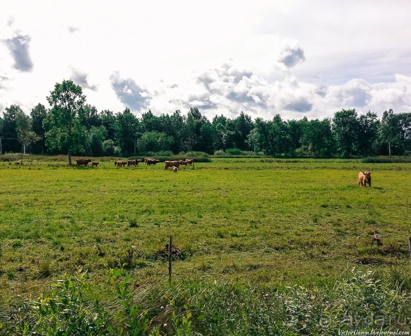 Пешком через всю Эстонию. Походная тропа Оанду – Икла. Часть 2.