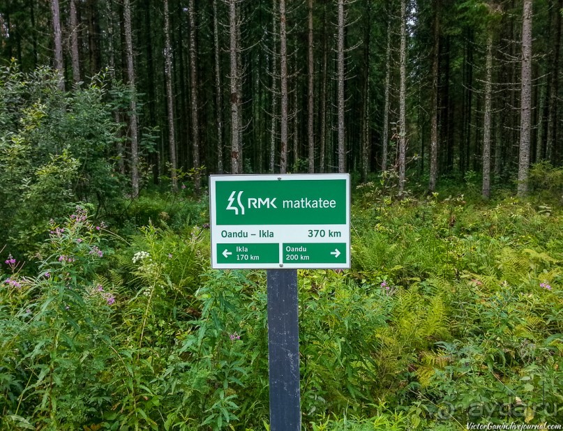 Пешком через всю Эстонию. Походная тропа Оанду – Икла. Часть 2.