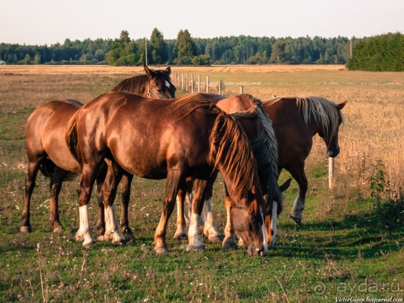 Пешком через всю Эстонию. Походная тропа Оанду – Икла. Часть 2.