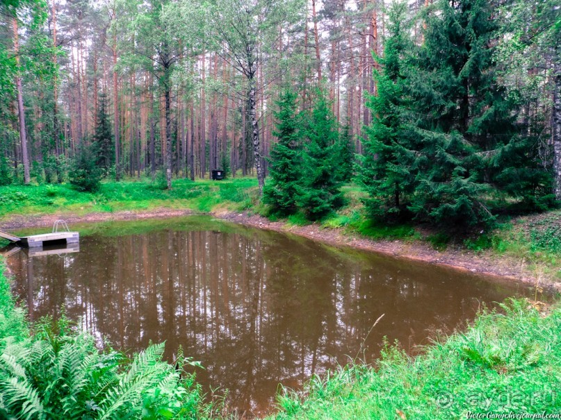 Пешком через всю Эстонию. Походная тропа Оанду – Икла. Часть 2.