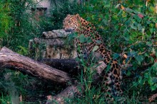 Автостопом по Европе. Лион, Франция